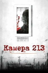  Камера 213 (2011) 