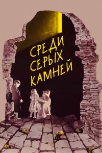  Среди серых камней (1983) 