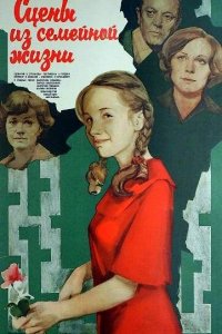  Сцены из семейной жизни (1979) 