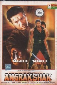  Телохранитель (1995) 