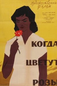  Когда цветут розы (1959) 