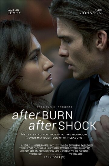 Страсть и покорение / Afterburn/Aftershock / 2017