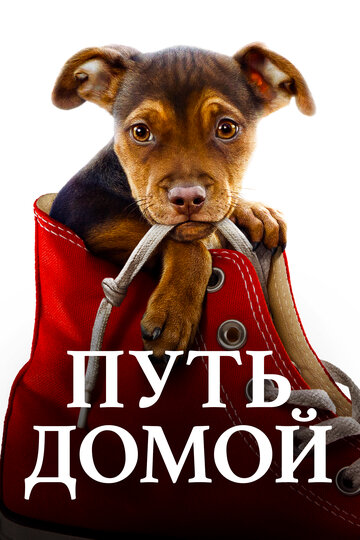 Путь домой / A Dog's Way Home / 2019