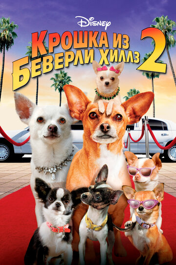 Крошка из Беверли-Хиллз 2 / Beverly Hills Chihuahua 2 / 2010