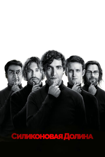 Кремниевая долина / Silicon Valley / 2014