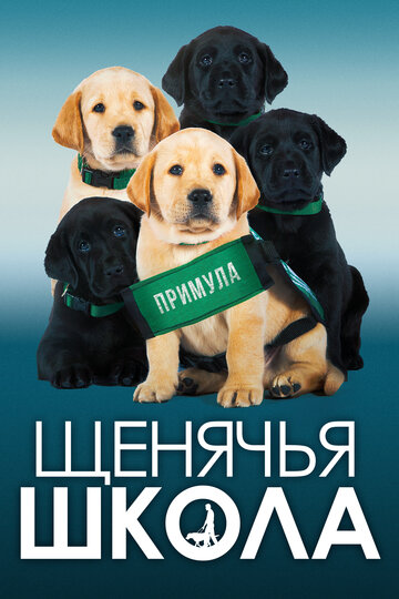 Выбор щенка / Pick of the Litter / 2018