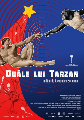 Сокровище Тарзана / Ouale lui Tarzan / 2017