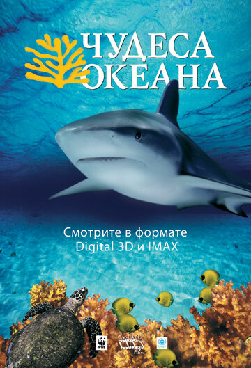 Чудеса океана 3D / Ocean Wonderland / 2003