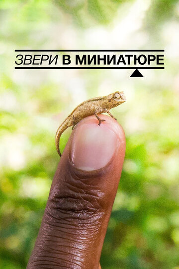 Звери в миниатюре / Super Small Animals / 2017