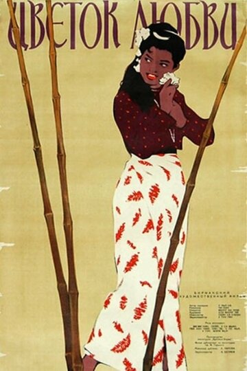 Цветок любви / Chit Pan Thazin / 1956