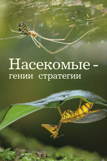 Насекомые — гении стратегии / Insects, Geniuses of Strategy / 2021