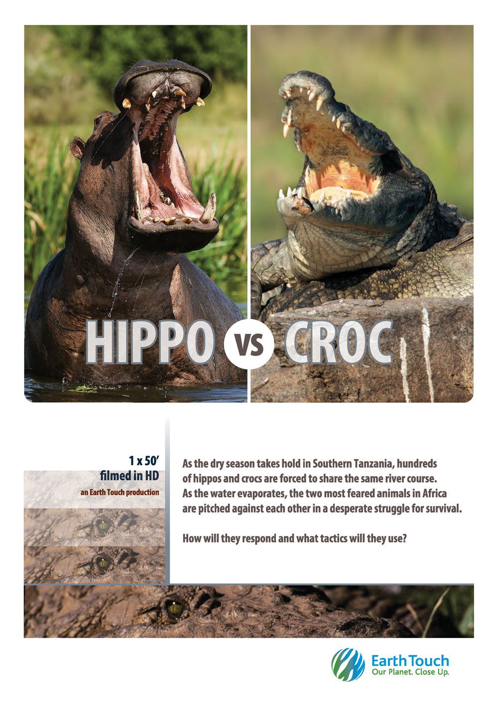 Бегемот против крокодила / Hippo vs Croc / 2014