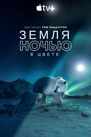 Земля ночью в цвете / Earth at Night in Color / 2020