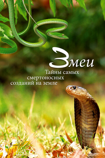 Змеи. Тайны самых смертоносных созданий на земле / Snakes, Secrets of Nature’s Deadliest Creatures / 2014